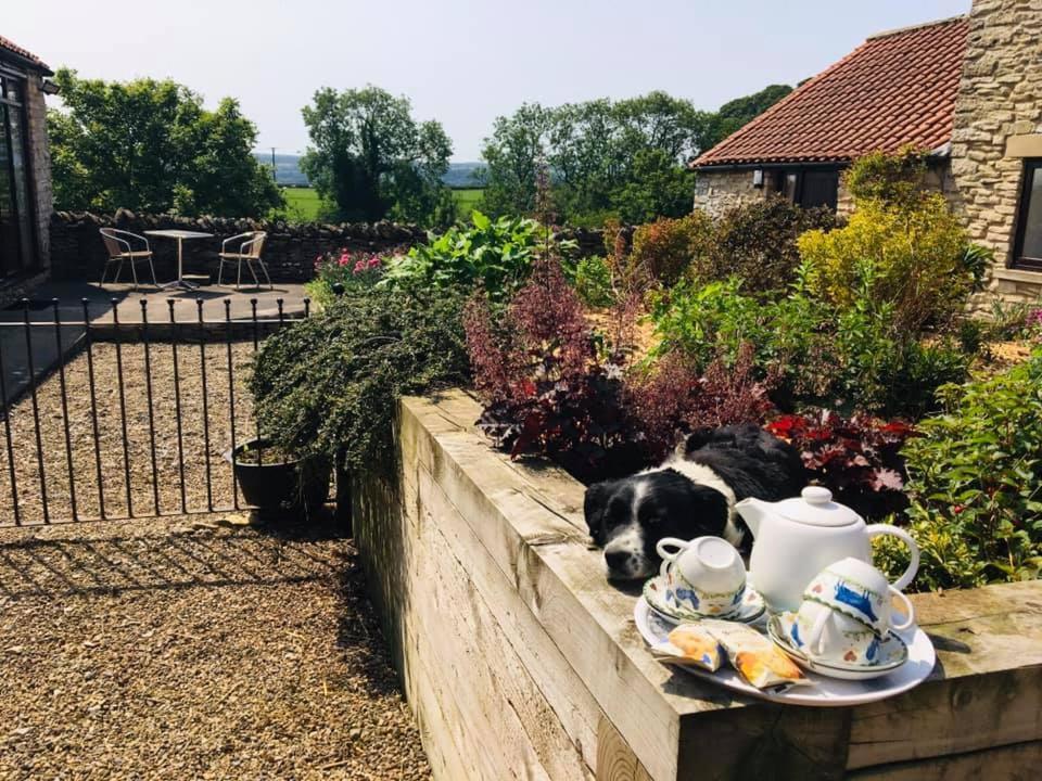 Valley View Farm Holiday Cottages Helmsley Exterior photo